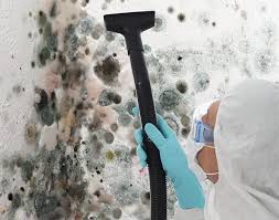 Best Mold Documentation for Insurance Claims  in Clayton, AL